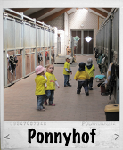 Ponnyhof